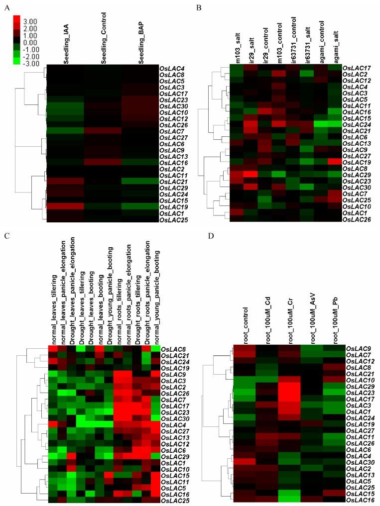 https://cdn.ncbi.nlm.nih.gov/pmc/blobs/619c/5343771/c2de64d58715/ijms-18-00209-g004.jpg