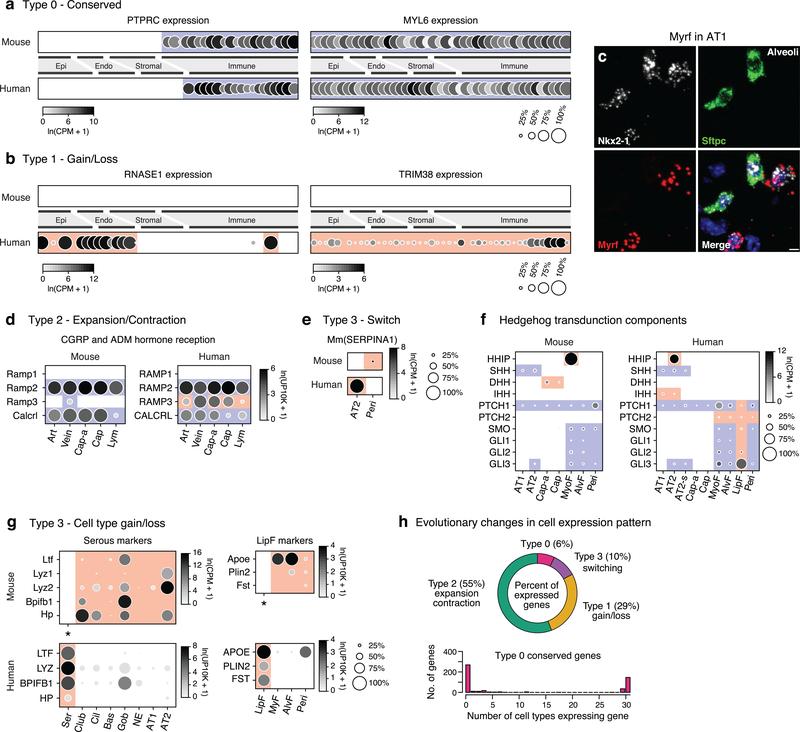 https://cdn.ncbi.nlm.nih.gov/pmc/blobs/619c/7704697/2d63c566ebfe/nihms-1624031-f0016.jpg