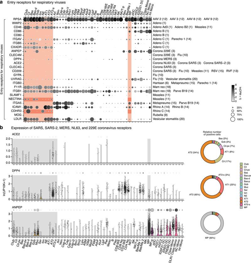 https://cdn.ncbi.nlm.nih.gov/pmc/blobs/619c/7704697/30c016cf54bd/nihms-1624031-f0013.jpg