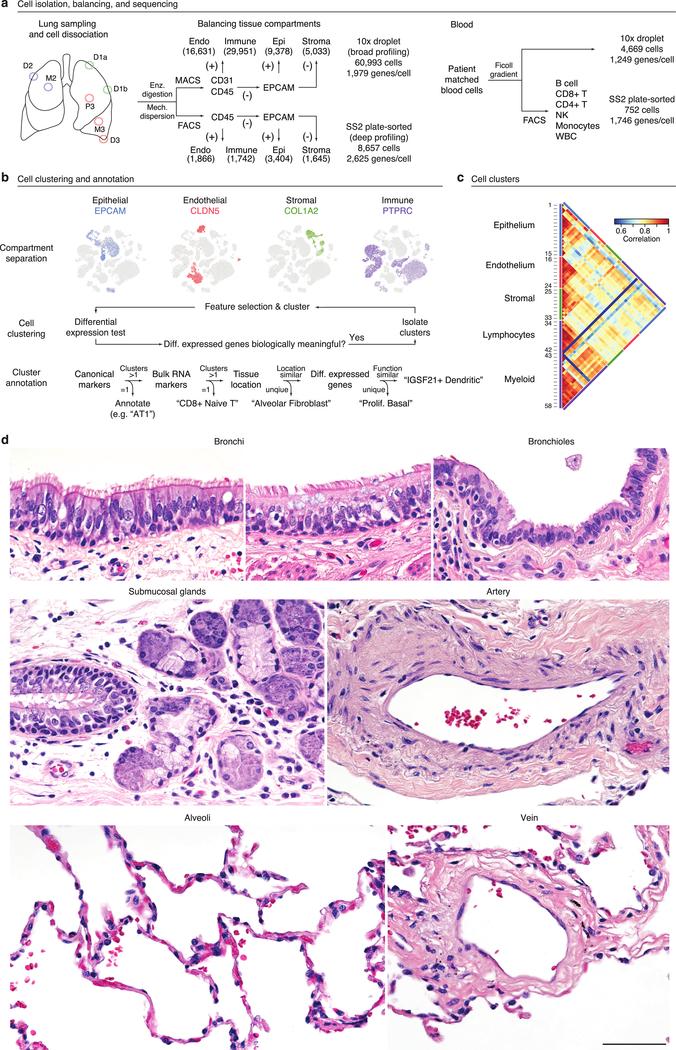 https://cdn.ncbi.nlm.nih.gov/pmc/blobs/619c/7704697/3fd345d4fe4e/nihms-1624031-f0005.jpg