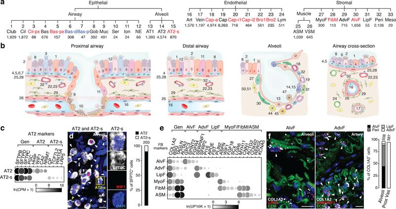 https://cdn.ncbi.nlm.nih.gov/pmc/blobs/619c/7704697/7e7aa7db660b/nihms-1624031-f0001.jpg