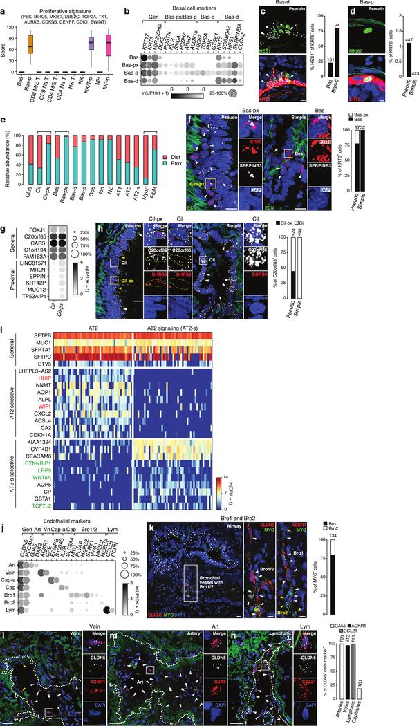 https://cdn.ncbi.nlm.nih.gov/pmc/blobs/619c/7704697/9f04f9cbc5c9/nihms-1624031-f0007.jpg