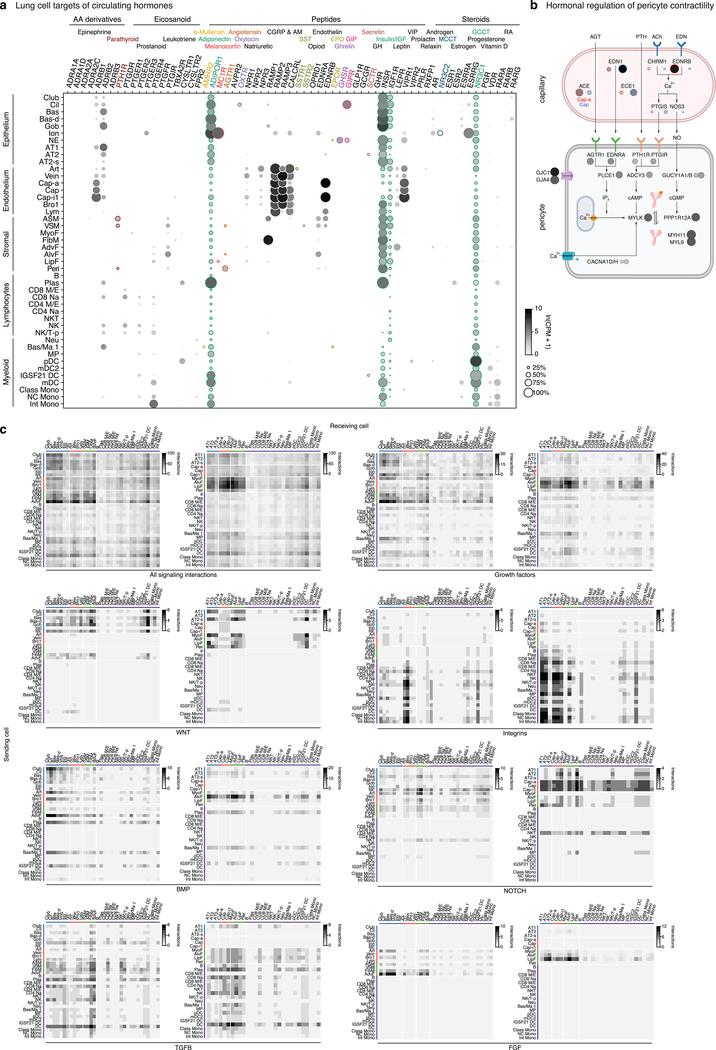 https://cdn.ncbi.nlm.nih.gov/pmc/blobs/619c/7704697/a7999d6336c4/nihms-1624031-f0010.jpg