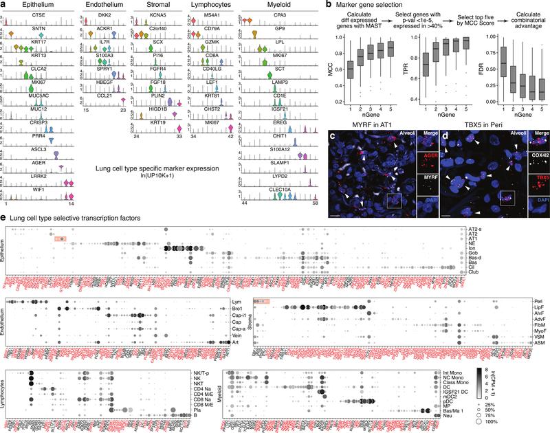 https://cdn.ncbi.nlm.nih.gov/pmc/blobs/619c/7704697/ca1ec44a0786/nihms-1624031-f0009.jpg