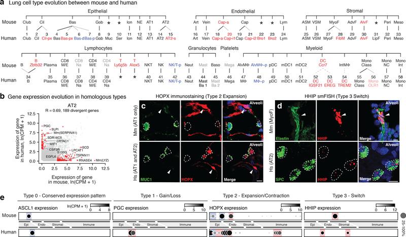 https://cdn.ncbi.nlm.nih.gov/pmc/blobs/619c/7704697/cd728056e997/nihms-1624031-f0004.jpg