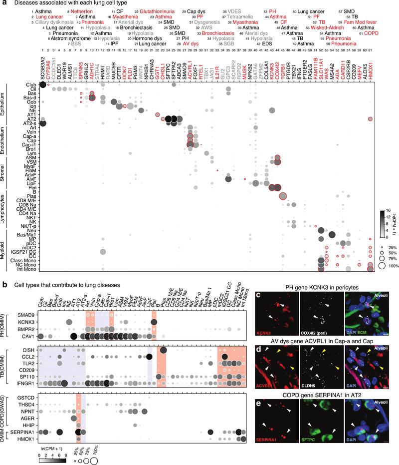 https://cdn.ncbi.nlm.nih.gov/pmc/blobs/619c/7704697/cf3980c9277f/nihms-1624031-f0012.jpg