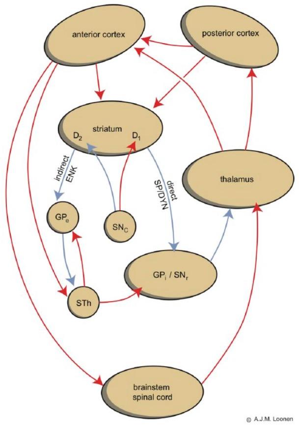 https://cdn.ncbi.nlm.nih.gov/pmc/blobs/619d/4834466/8f026a750d3f/10.1177_2050312116643673-fig1.jpg