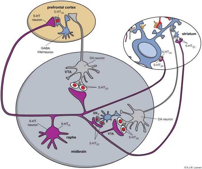https://cdn.ncbi.nlm.nih.gov/pmc/blobs/619d/4834466/acc4a9081f01/10.1177_2050312116643673-fig2.jpg