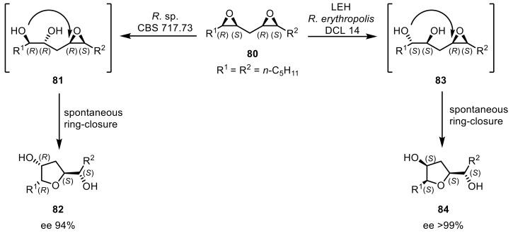 https://cdn.ncbi.nlm.nih.gov/pmc/blobs/619d/6801914/412509409bbe/ijms-20-04787-sch022.jpg