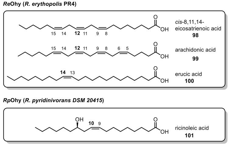 https://cdn.ncbi.nlm.nih.gov/pmc/blobs/619d/6801914/4877ccf68096/ijms-20-04787-g001.jpg