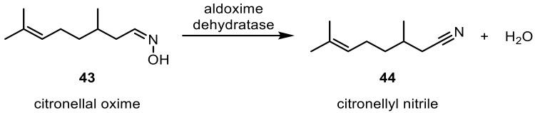 https://cdn.ncbi.nlm.nih.gov/pmc/blobs/619d/6801914/52704abcff55/ijms-20-04787-sch013.jpg