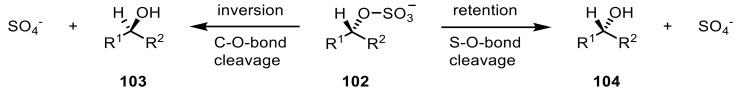 https://cdn.ncbi.nlm.nih.gov/pmc/blobs/619d/6801914/52a449c59e2f/ijms-20-04787-sch025.jpg