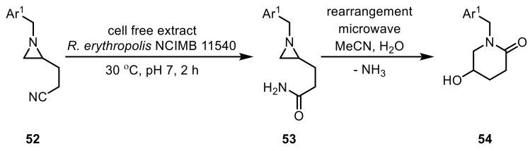 https://cdn.ncbi.nlm.nih.gov/pmc/blobs/619d/6801914/61c2b706388f/ijms-20-04787-sch016.jpg