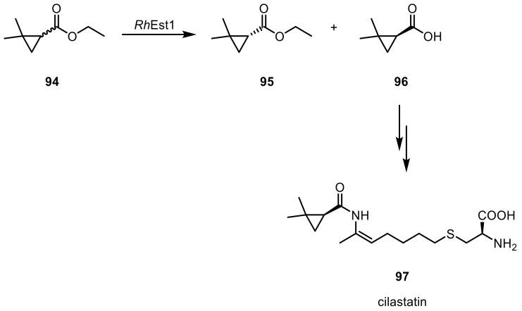 https://cdn.ncbi.nlm.nih.gov/pmc/blobs/619d/6801914/7320755f8632/ijms-20-04787-sch024.jpg