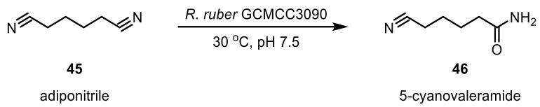 https://cdn.ncbi.nlm.nih.gov/pmc/blobs/619d/6801914/8b5dfdd9f94b/ijms-20-04787-sch014.jpg