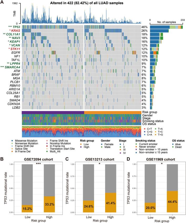 https://cdn.ncbi.nlm.nih.gov/pmc/blobs/61a1/12263358/431a00e7f56f/fgene-16-1466484-g006.jpg