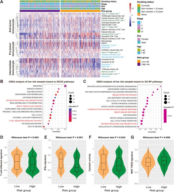 https://cdn.ncbi.nlm.nih.gov/pmc/blobs/61a1/12263358/8ab064743c58/fgene-16-1466484-g004.jpg