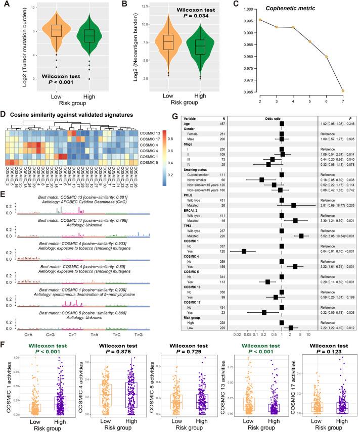 https://cdn.ncbi.nlm.nih.gov/pmc/blobs/61a1/12263358/b0245e8415c2/fgene-16-1466484-g005.jpg