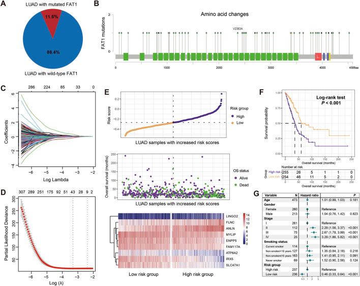 https://cdn.ncbi.nlm.nih.gov/pmc/blobs/61a1/12263358/f33d1c70904a/fgene-16-1466484-g002.jpg