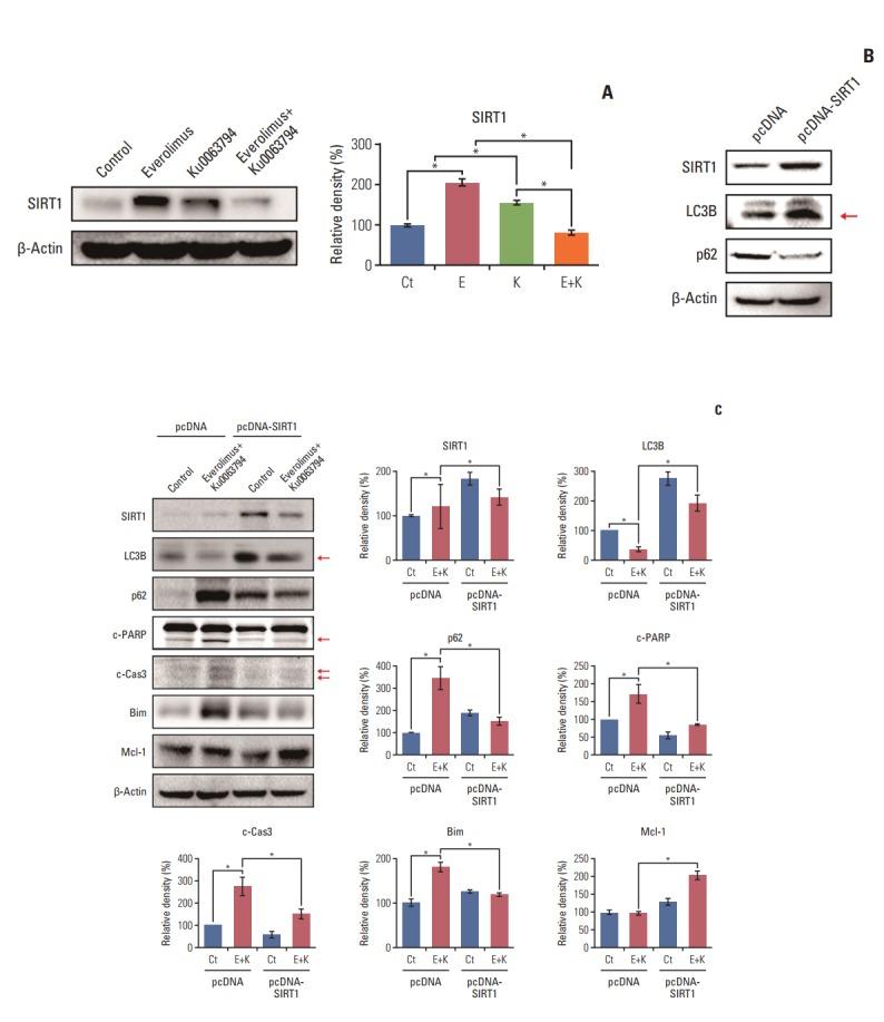 https://cdn.ncbi.nlm.nih.gov/pmc/blobs/61a1/6056969/a19caba45576/crt-2017-085f5.jpg