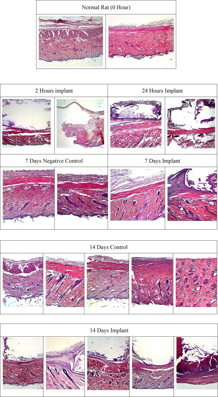 https://cdn.ncbi.nlm.nih.gov/pmc/blobs/61a1/7347648/e5b8c8f503d5/gr2.jpg