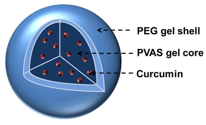 https://cdn.ncbi.nlm.nih.gov/pmc/blobs/61a2/10529957/fdf283e5e185/gels-09-00762-sch001.jpg