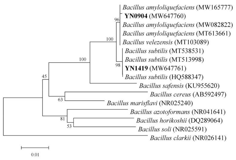 https://cdn.ncbi.nlm.nih.gov/pmc/blobs/61a2/8537417/b73997dd742e/jof-07-00795-g003.jpg