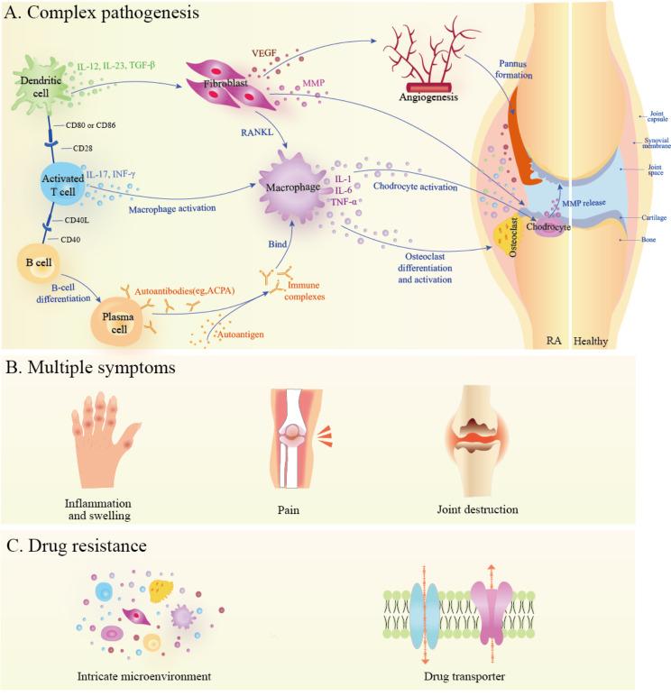 https://cdn.ncbi.nlm.nih.gov/pmc/blobs/61a3/11265020/064996953e15/12951_2024_2670_Fig2_HTML.jpg