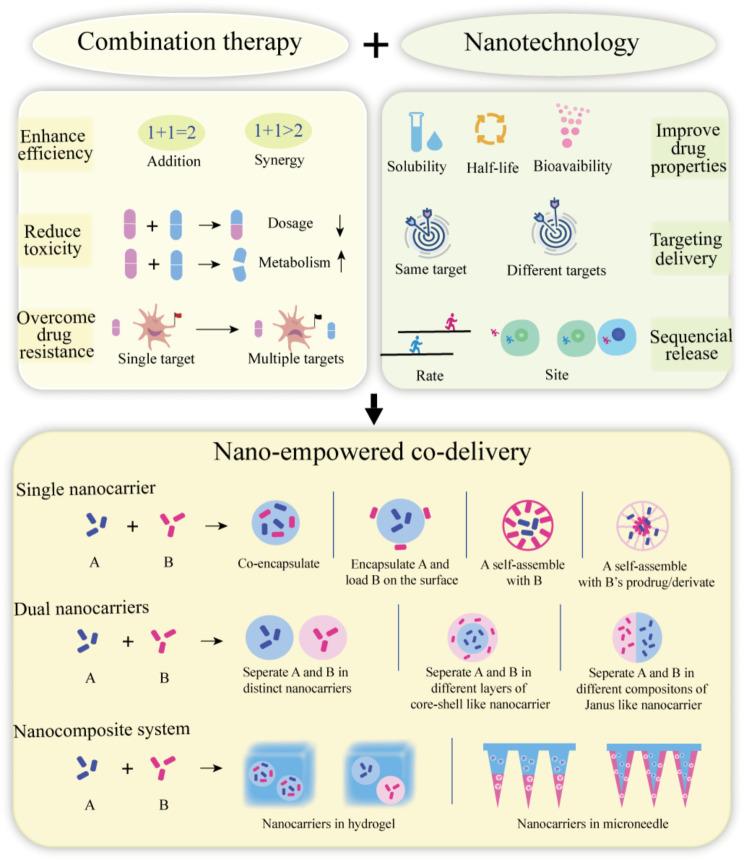 https://cdn.ncbi.nlm.nih.gov/pmc/blobs/61a3/11265020/3751308fe4e2/12951_2024_2670_Fig3_HTML.jpg