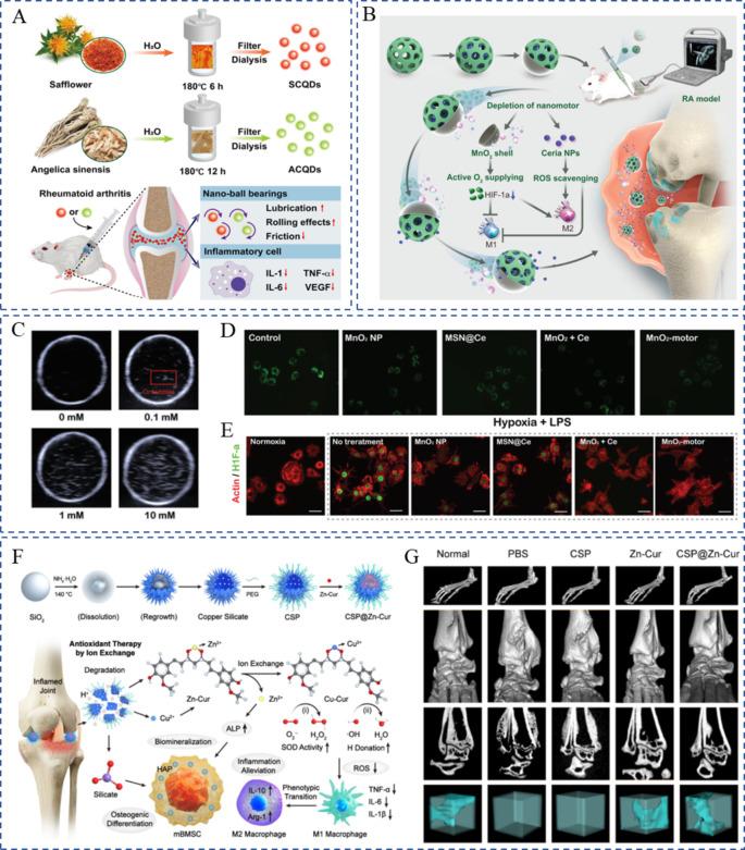https://cdn.ncbi.nlm.nih.gov/pmc/blobs/61a3/11265020/a8eb91039de7/12951_2024_2670_Fig6_HTML.jpg