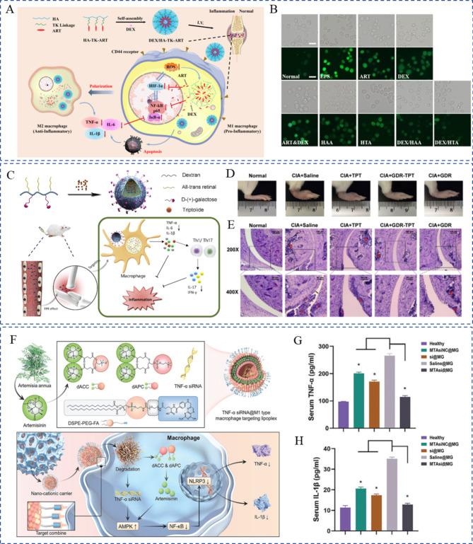 https://cdn.ncbi.nlm.nih.gov/pmc/blobs/61a3/11265020/a9ef1b6b4976/12951_2024_2670_Fig5_HTML.jpg