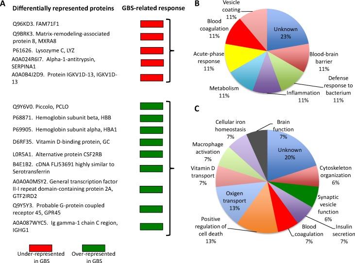 https://cdn.ncbi.nlm.nih.gov/pmc/blobs/61a6/5342688/60587b5f73fd/oncotarget-07-74582-g002.jpg