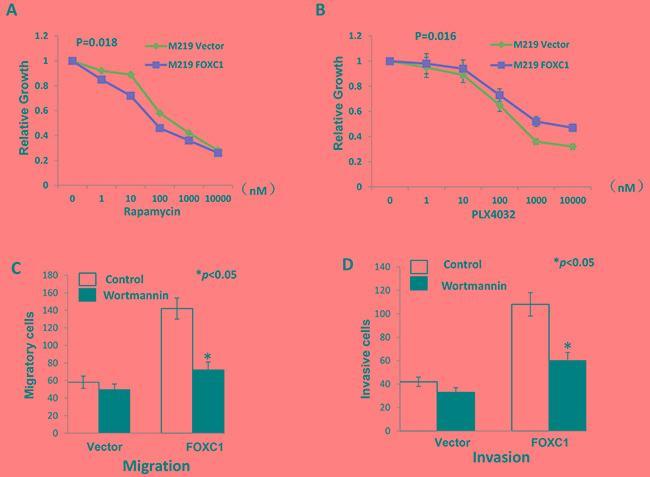 https://cdn.ncbi.nlm.nih.gov/pmc/blobs/61a8/5356666/edab6398fae6/oncotarget-07-84375-g006.jpg