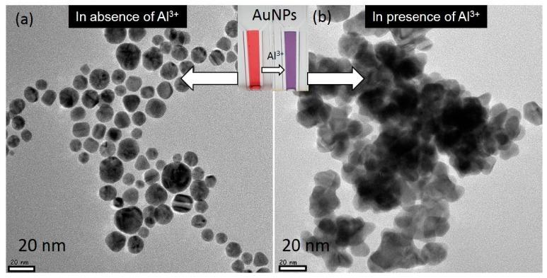 https://cdn.ncbi.nlm.nih.gov/pmc/blobs/61aa/5666452/876d733b9b6d/nanomaterials-07-00287-g003.jpg