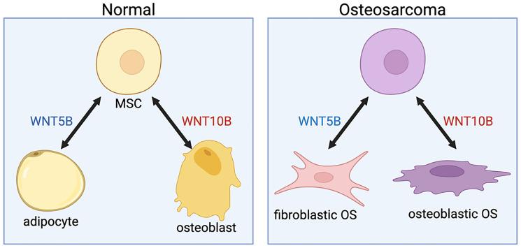 https://cdn.ncbi.nlm.nih.gov/pmc/blobs/61ad/11299661/95430cc9fe76/oncotarget-15-28617-g003.jpg