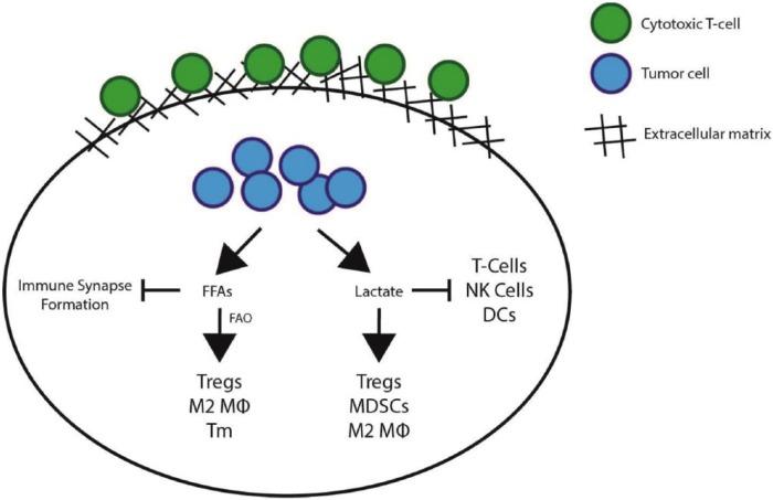 https://cdn.ncbi.nlm.nih.gov/pmc/blobs/61ad/5617083/71282472e3da/10.1177_1178223417731565-fig1.jpg