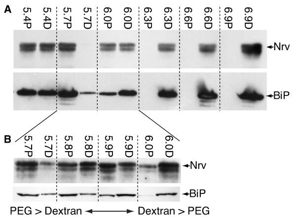 https://cdn.ncbi.nlm.nih.gov/pmc/blobs/61b0/2876126/aa4e24fa0703/1471-2164-11-302-5.jpg