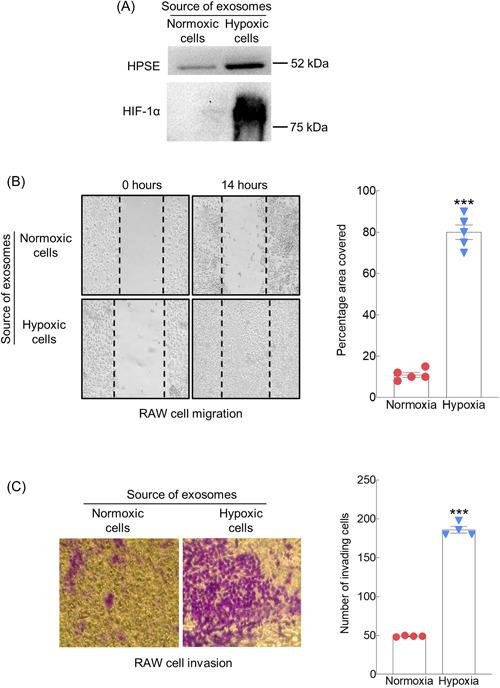 https://cdn.ncbi.nlm.nih.gov/pmc/blobs/61b3/10848868/3eca56fda7b5/PGR2-1-e1-g004.jpg