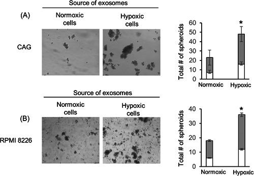https://cdn.ncbi.nlm.nih.gov/pmc/blobs/61b3/10848868/3ed3ab4740c3/PGR2-1-e1-g002.jpg