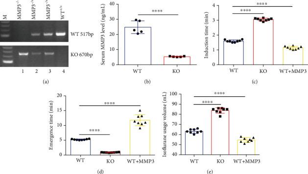 https://cdn.ncbi.nlm.nih.gov/pmc/blobs/61b3/8026308/ec9af9d7cc99/OMCL2021-6655122.003.jpg