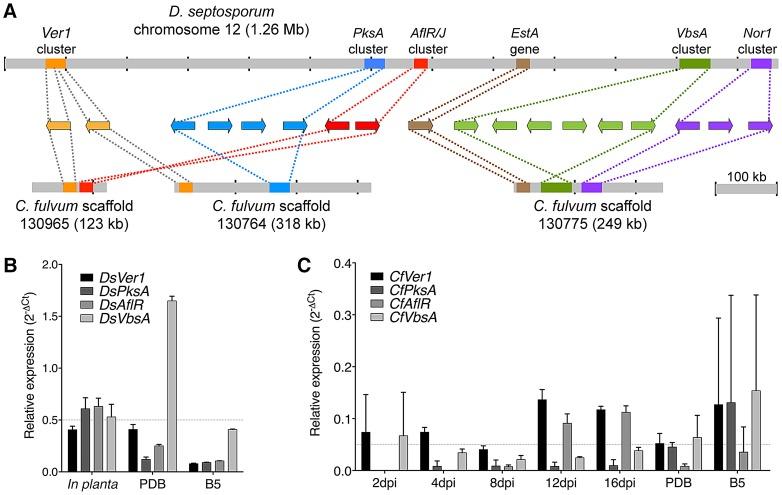 https://cdn.ncbi.nlm.nih.gov/pmc/blobs/61b4/3510045/7b1f965b6a11/pgen.1003088.g007.jpg