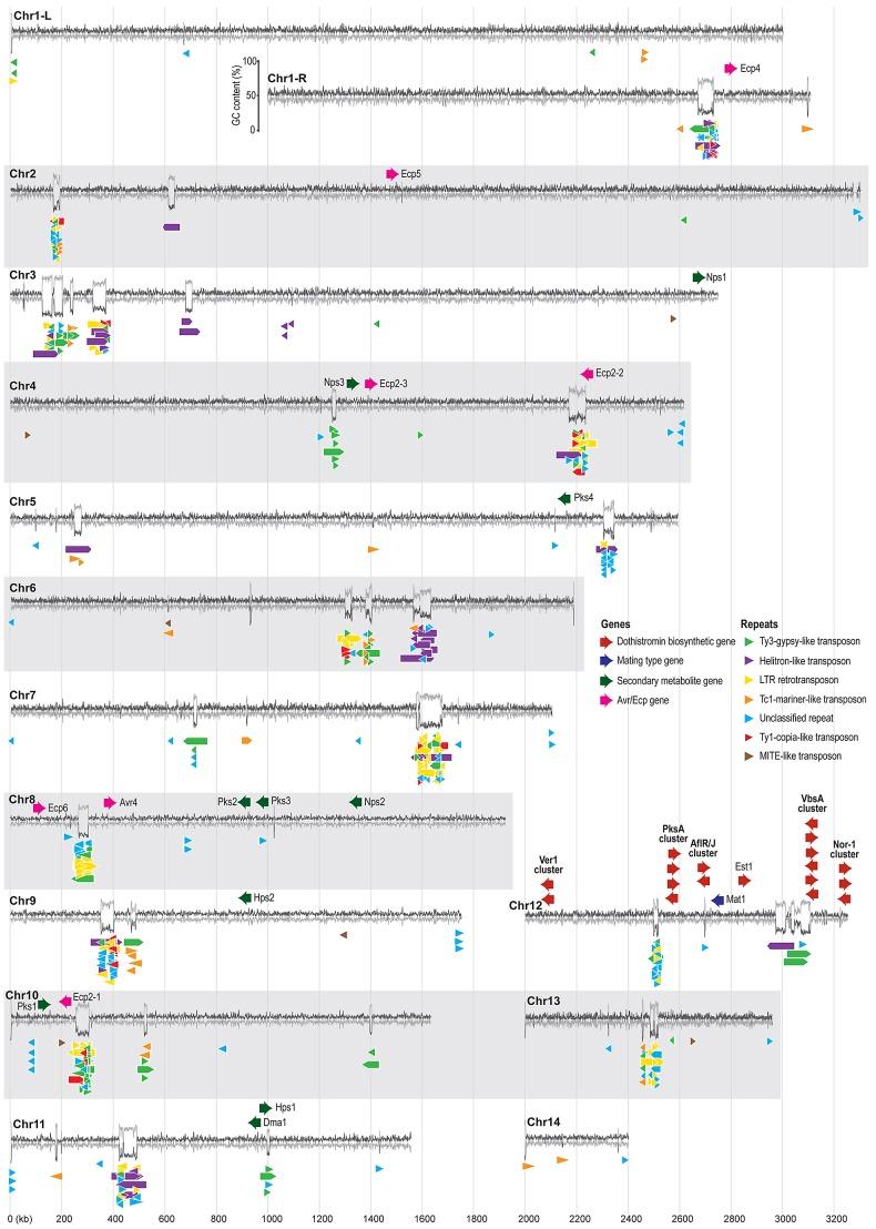 https://cdn.ncbi.nlm.nih.gov/pmc/blobs/61b4/3510045/d6fdca101ff1/pgen.1003088.g003.jpg