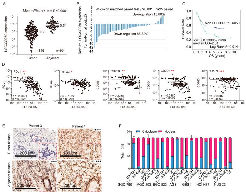 https://cdn.ncbi.nlm.nih.gov/pmc/blobs/61b5/10670112/bbbd88780714/cancers-15-05313-g001.jpg