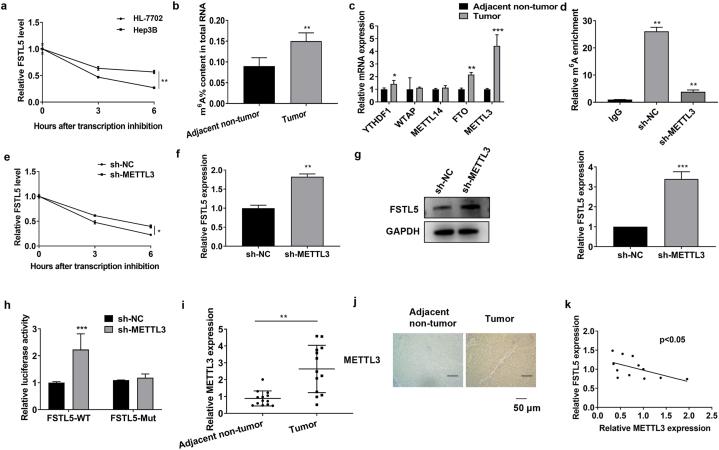 https://cdn.ncbi.nlm.nih.gov/pmc/blobs/61b5/10920164/c01112845869/gr2.jpg