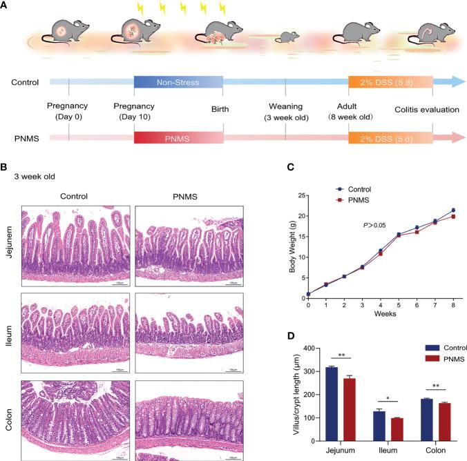 https://cdn.ncbi.nlm.nih.gov/pmc/blobs/61b5/8595204/301aa59294cf/fimmu-12-700995-g001.jpg