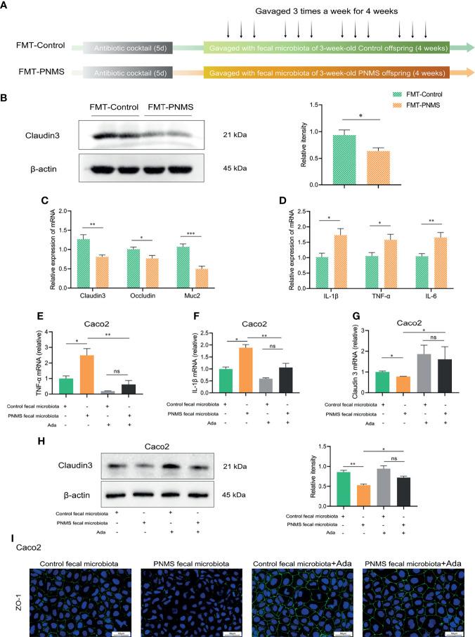 https://cdn.ncbi.nlm.nih.gov/pmc/blobs/61b5/8595204/9a9f00e7416b/fimmu-12-700995-g005.jpg