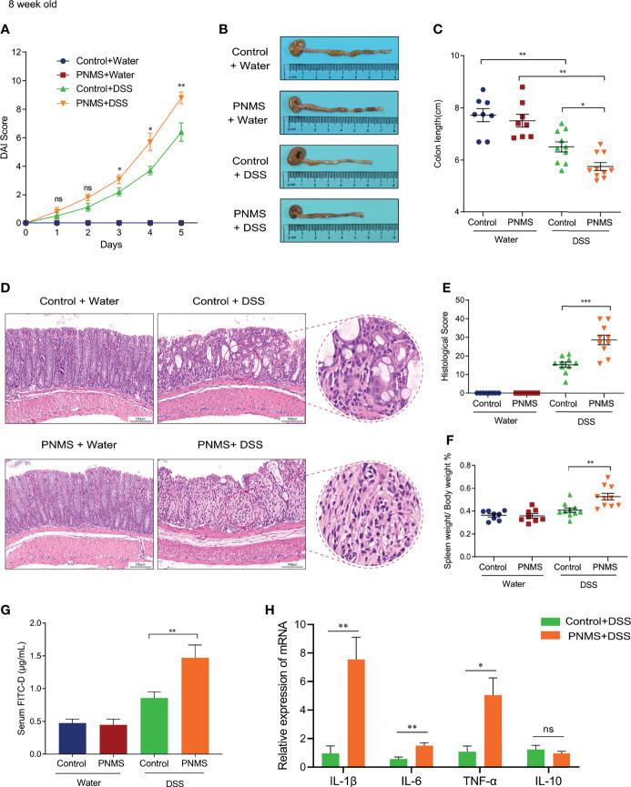 https://cdn.ncbi.nlm.nih.gov/pmc/blobs/61b5/8595204/c61a438516a0/fimmu-12-700995-g007.jpg