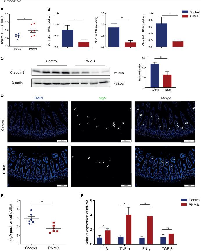 https://cdn.ncbi.nlm.nih.gov/pmc/blobs/61b5/8595204/e6b2a357a044/fimmu-12-700995-g003.jpg