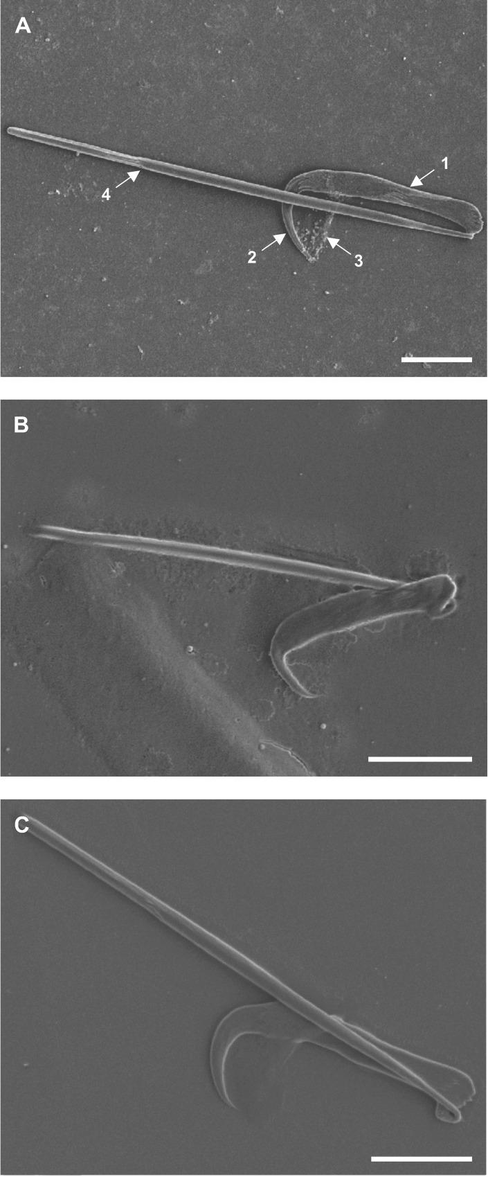 https://cdn.ncbi.nlm.nih.gov/pmc/blobs/61ba/6389168/9d48c16337c5/pone.0211794.g008.jpg
