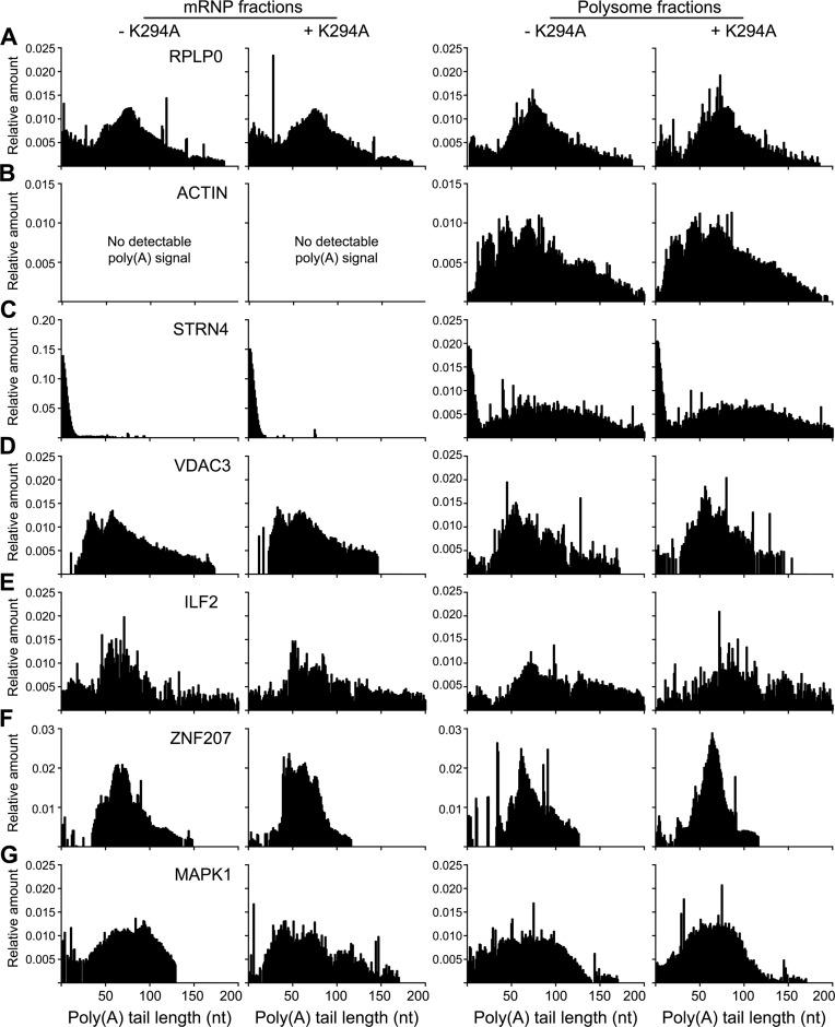 https://cdn.ncbi.nlm.nih.gov/pmc/blobs/61bb/4705677/56b54c95d078/gkv1460fig4.jpg